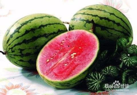 娱乐吃瓜和导演吃瓜区别