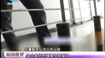 国产Jizzcom,探索中国网络影视产业的创新与突破